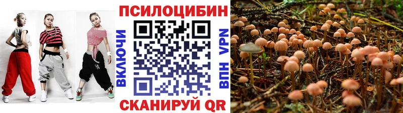 хочу наркоту  Каменск-Шахтинский  mega ONION  Псилоцибиновые грибы MAGIC MUSHROOMS 