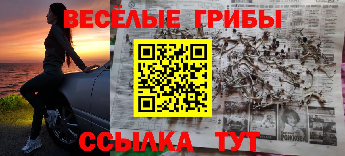 Cocaine  Конопля  Метадон  ЭКСТАЗИ  Каменск-Шахтинский  ГАШ  МЕФ кристаллы  Гашиш  Вход с VPN 